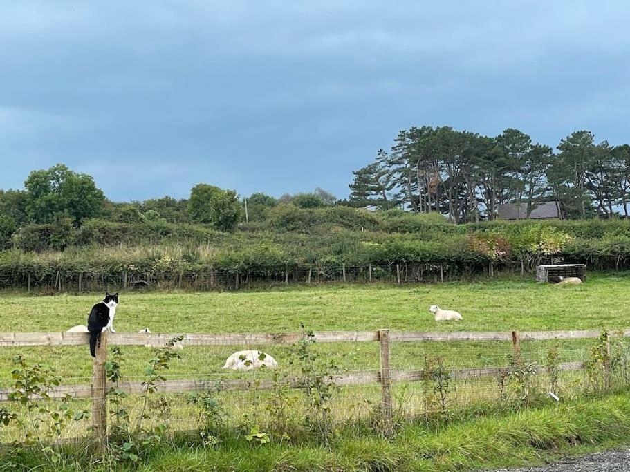 Tranquil, Secluded, Rural Cottage For Two Beaumaris Esterno foto