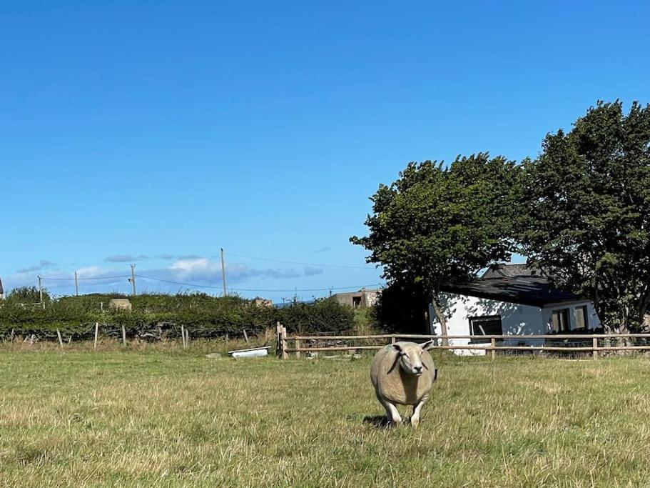 Tranquil, Secluded, Rural Cottage For Two Beaumaris Esterno foto